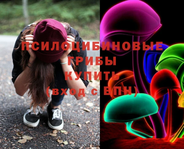 mdma Белокуриха